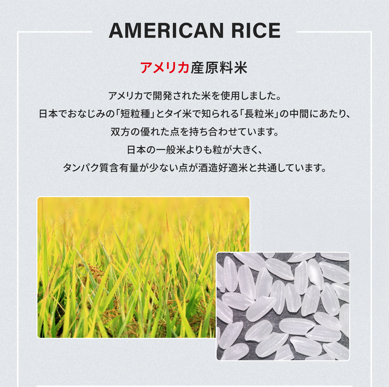  GEKKEIKAN WORLD SAKE AMERICA 