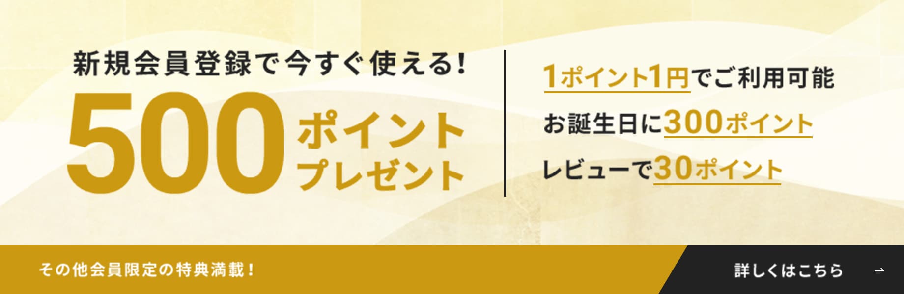 新規会員登録でいまずつ使える!500ポイントプレゼント 1ポイント1円でご利用可能 お誕生日に300ポイント レビューで30ポイント